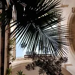 Miro Lecce